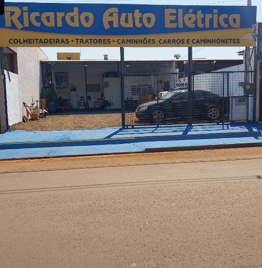 RICARDO AUTO ELÉTRICA